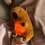 Peluche capibara que respira - Imagen 2